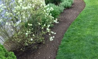 Closeup of flower bed edging