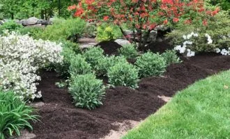 Fresh mulched flowerbed