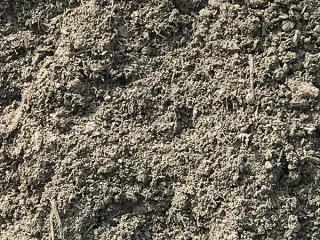 Closeup of garden compost