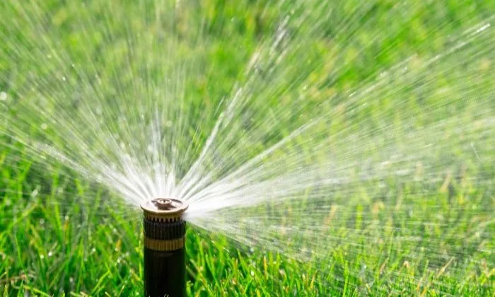 Closeup of lawn irrigation sprinkler
