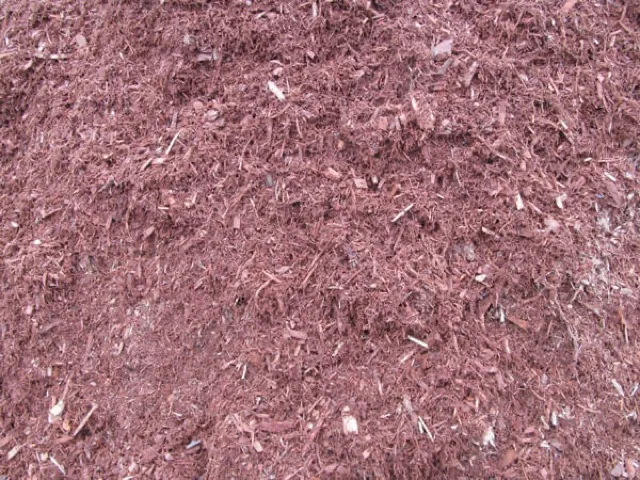 Hemlock Mulch