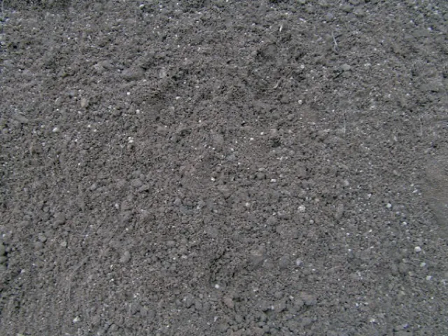 Closeup of screened loam