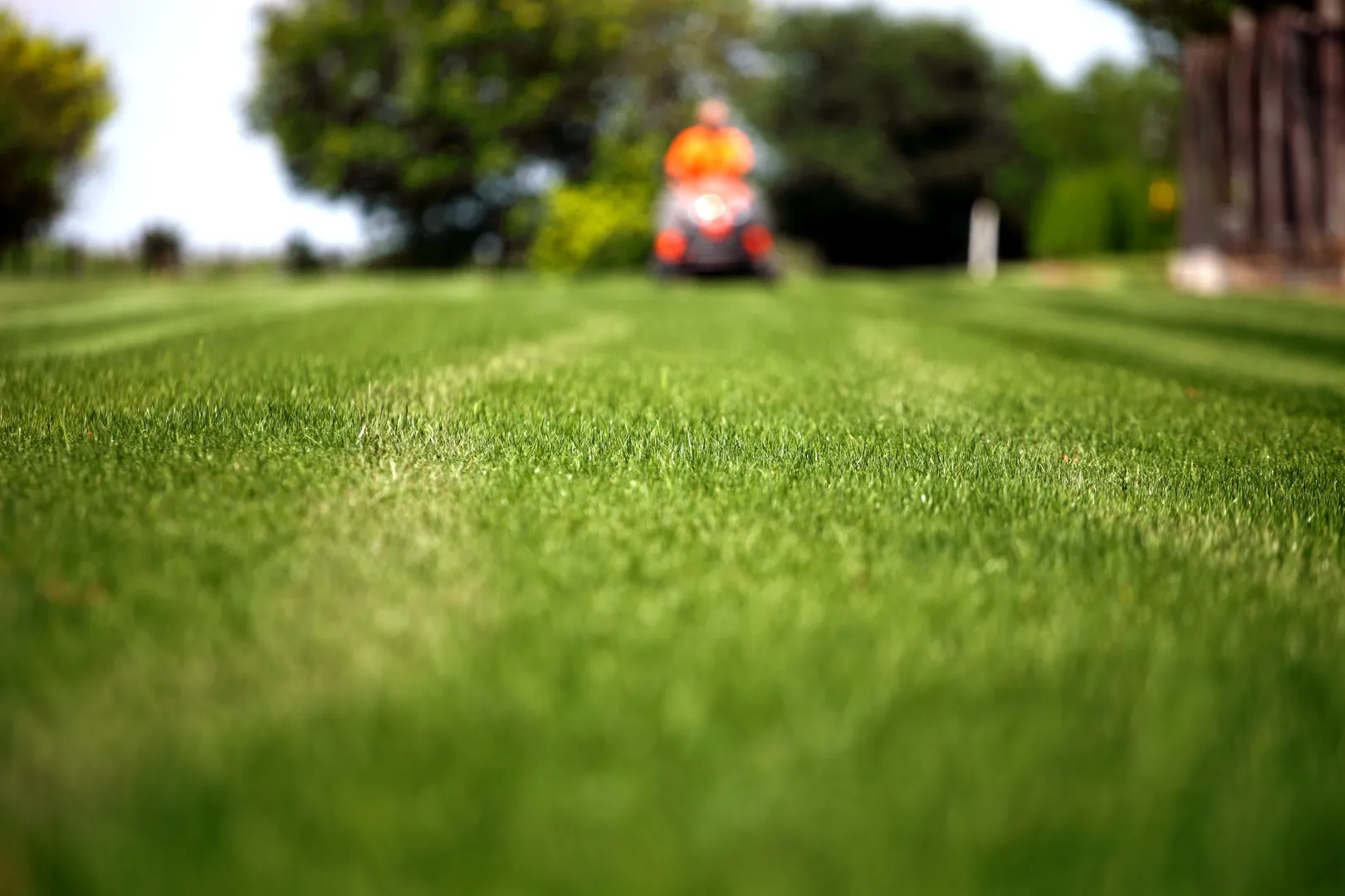 mowing grass