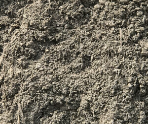 Closeup of garden compost