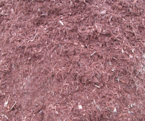 Hemlock Mulch