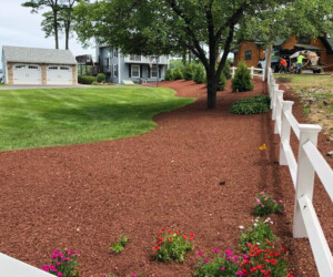 Mulched area in front of business