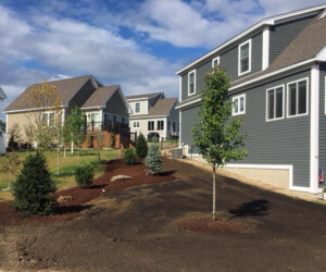 Commercial rental property landscape