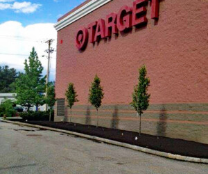 Target store with landscaping