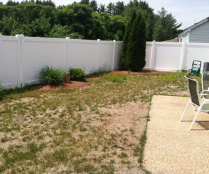 yard before landscaping