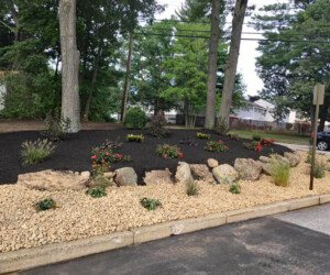 After landscaping photo