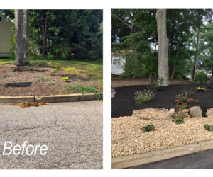 Before and after photos of yard lawn curb landscaping