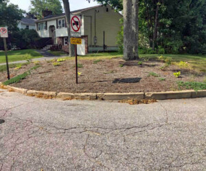 Ugly yard curb before photo