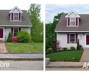 Home landscaping before and after photos
