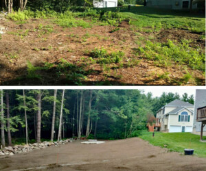Lawn before and after photos