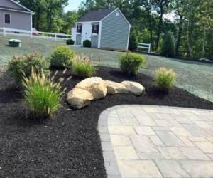 Closeup of landscape plantings